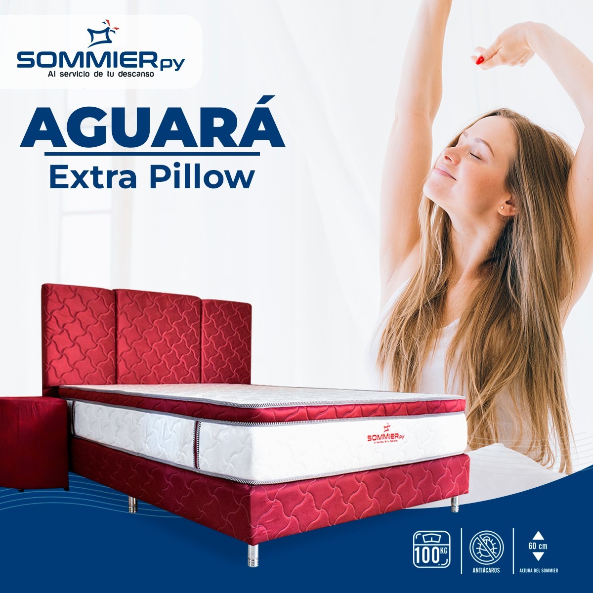 Aguará