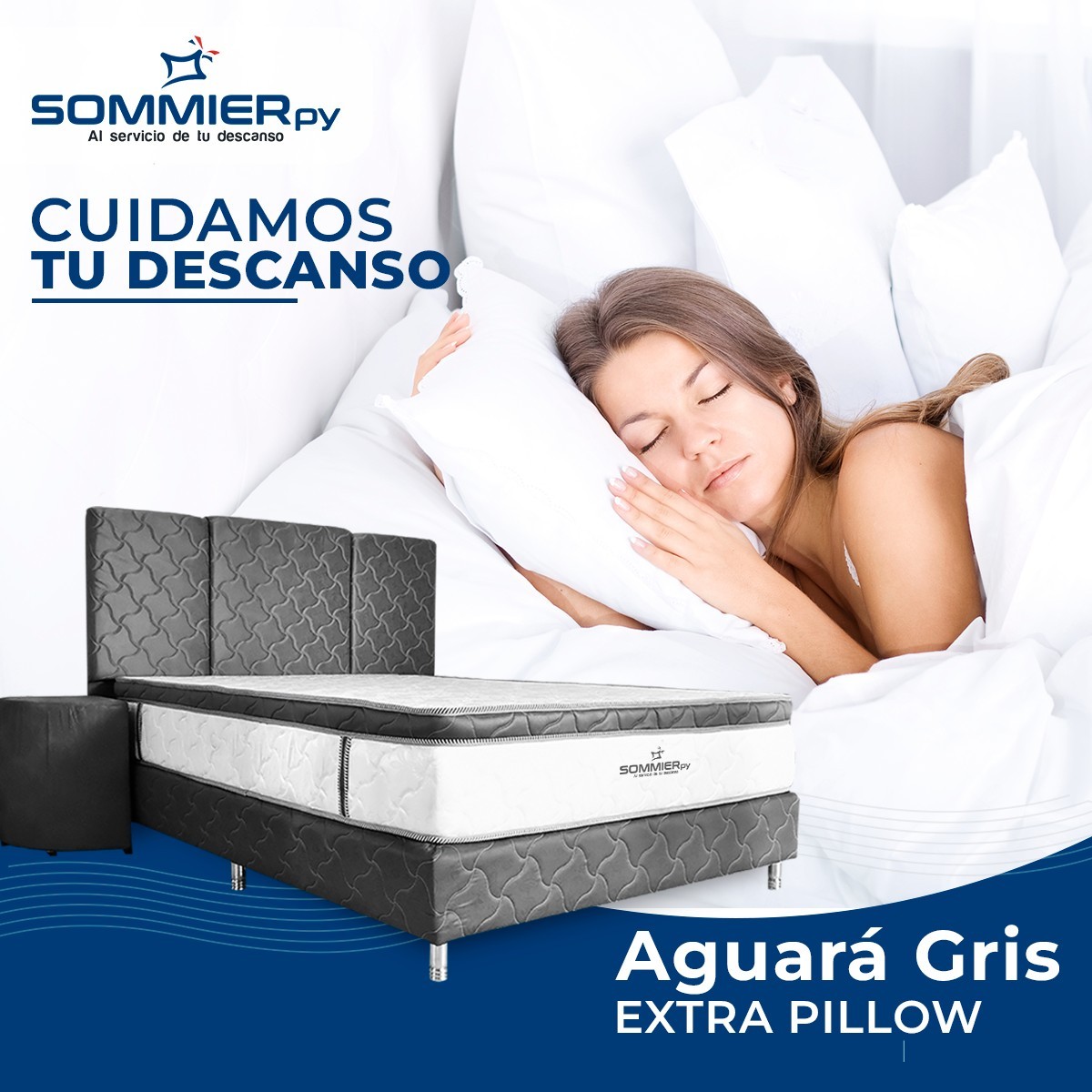 Aguará Gris